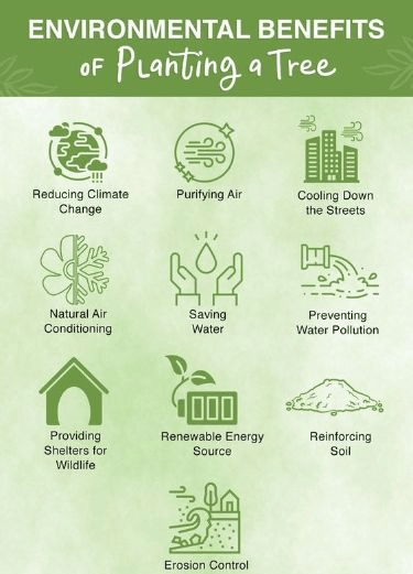 Environmental Training